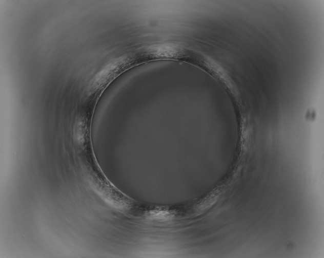 X0000111020161200906191700
