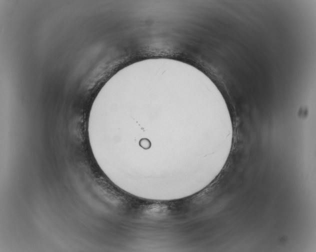 X0000111020162200906191700