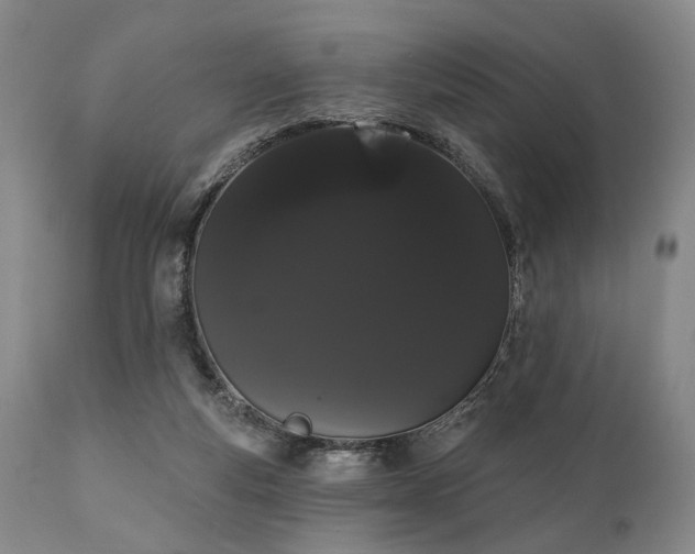 X0000111020163200906191700