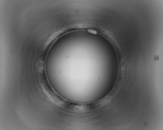 X0000111020164200906191700