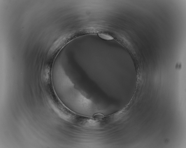 X0000111020166200906191700