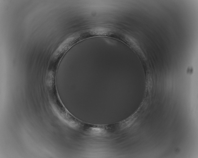 X0000111020167200906191700
