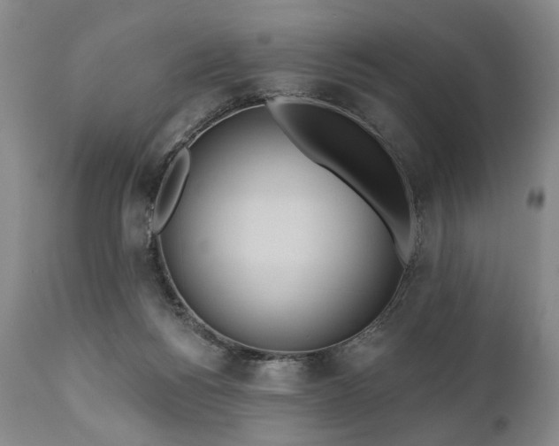 X0000111020168200906191701