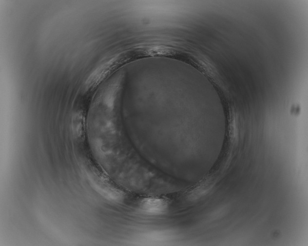 X0000111020169200906191701