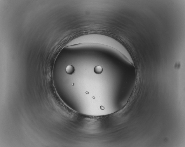 X0000111020170200906191701