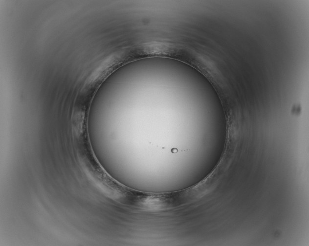 X0000111020171200906191701