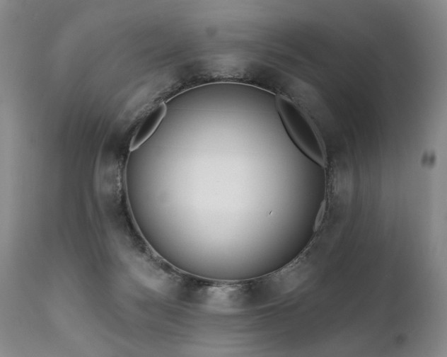 X0000111020172200906191701