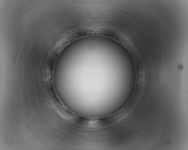 X0000111020173200906191701