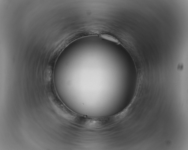 X0000111020174200906191701