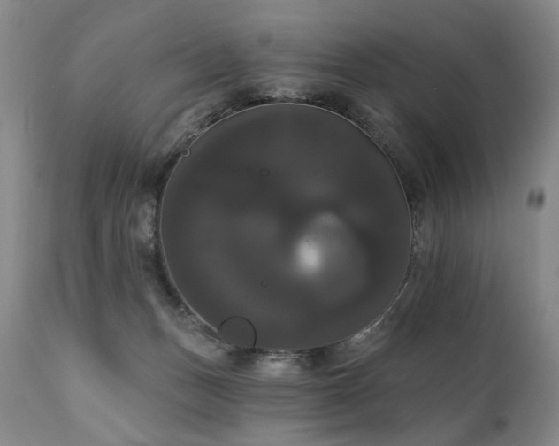X0000111020175200906191701
