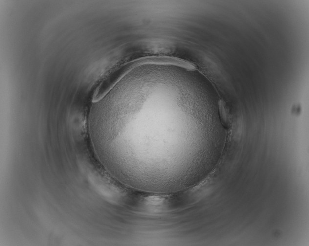 X0000111020176200906191701