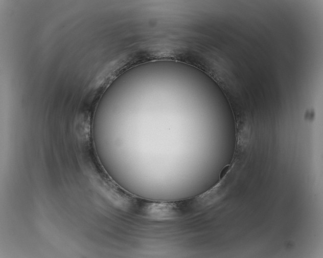 X0000111020179200906191701