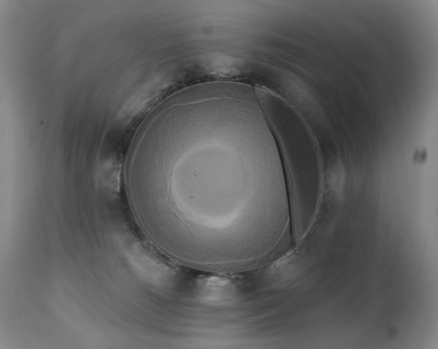 X0000111020180200906191701