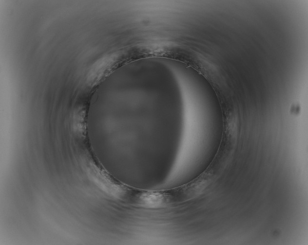 X0000111020181200906191701