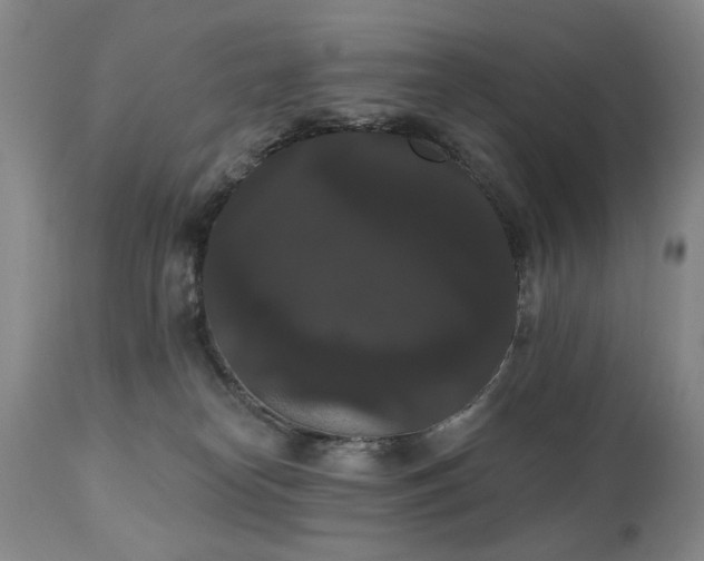 X0000111020182200906191701