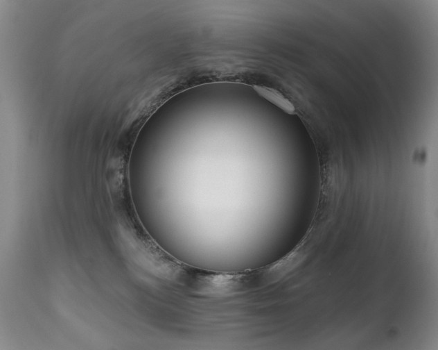 X0000111020184200906191701