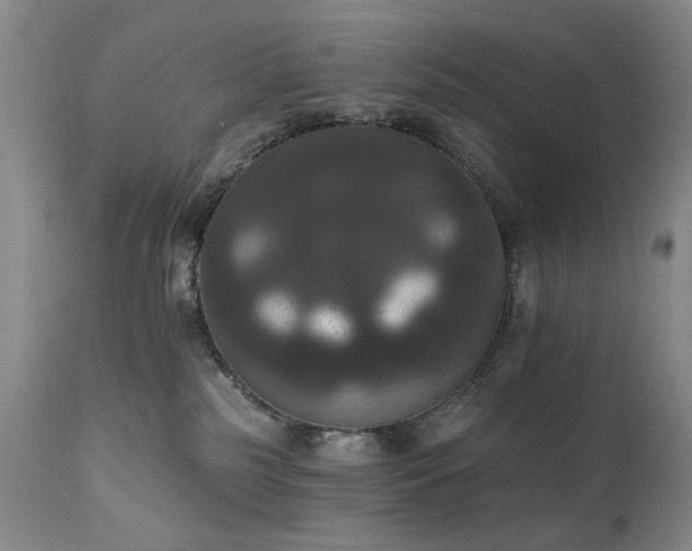 X0000111020185200906191701