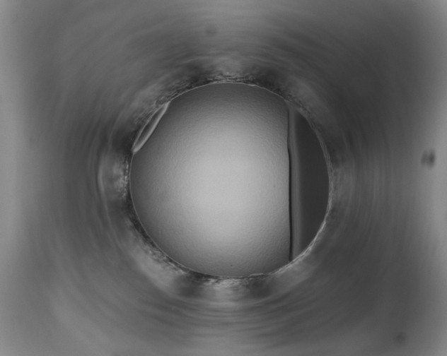 X0000111020186200906191701