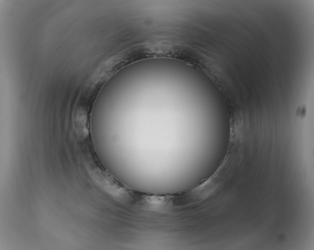 X0000111020187200906191701