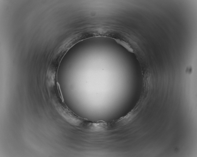 X0000111020188200906191701