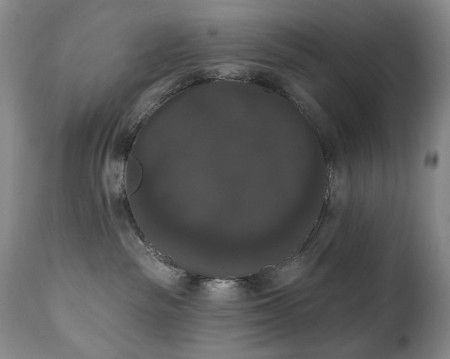 X0000111020189200906191701