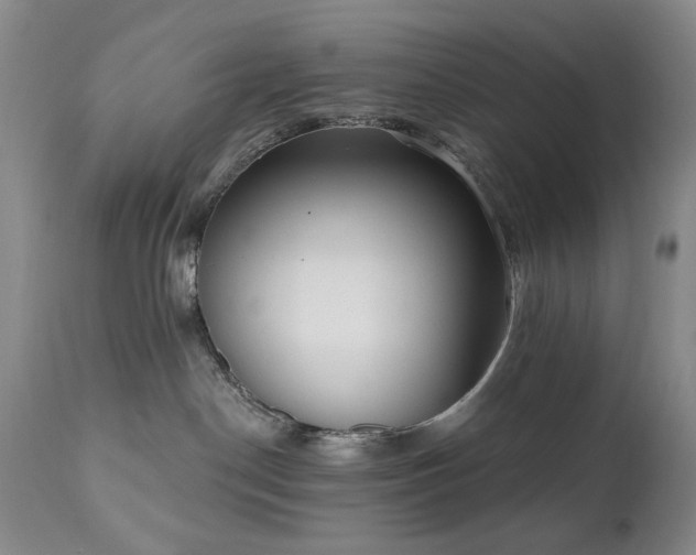 X0000111020190200906191701
