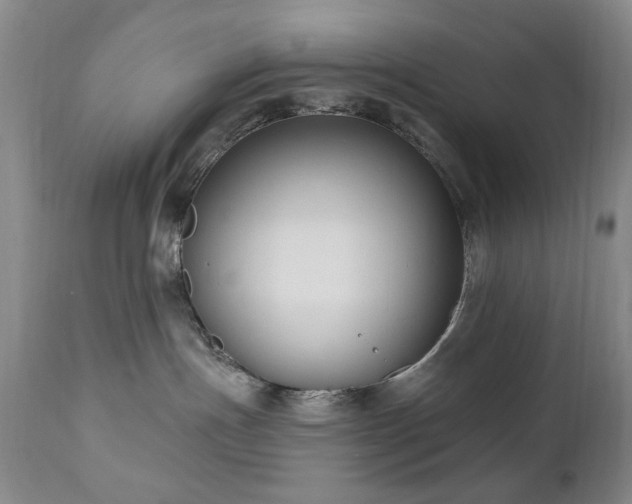 X0000111020191200906191701