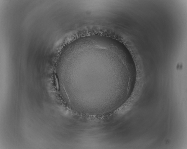 X0000111020192200906191701