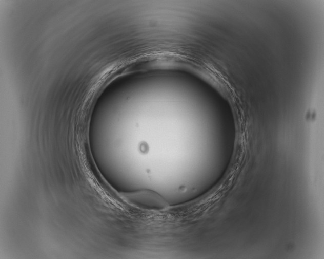 X0000111020193200906191700