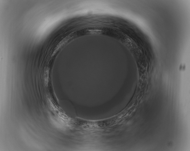 X0000111020194200906191700