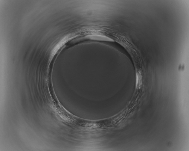 X0000111020195200906191700