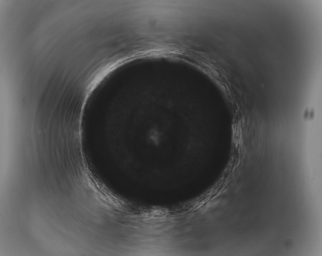 X0000111020196200906191700