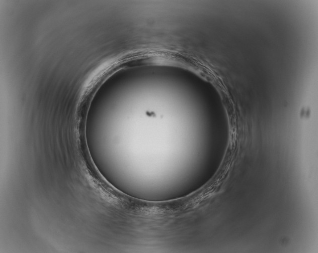 X0000111020197200906191700