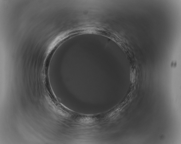 X0000111020198200906191700