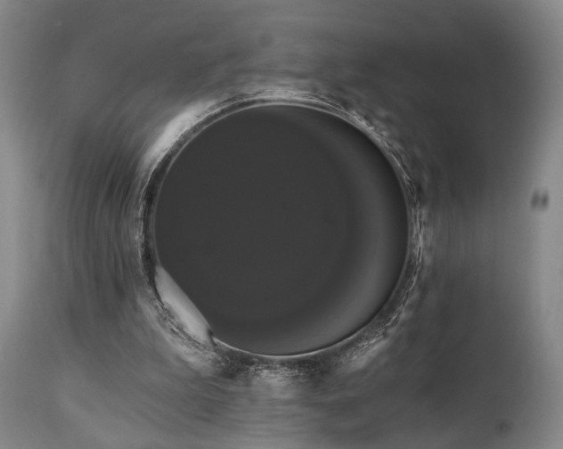 X0000111020199200906191700