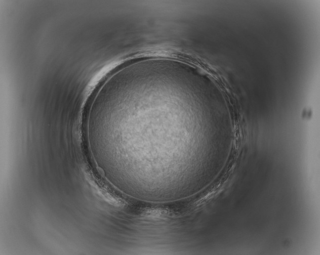 X0000111020200200906191700