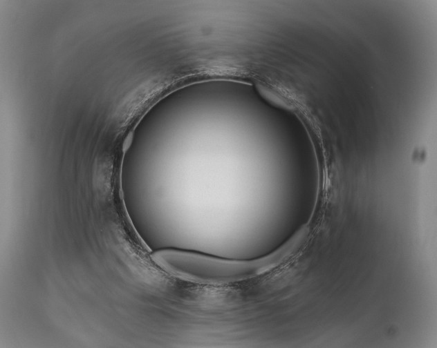 X0000111020201200906191700