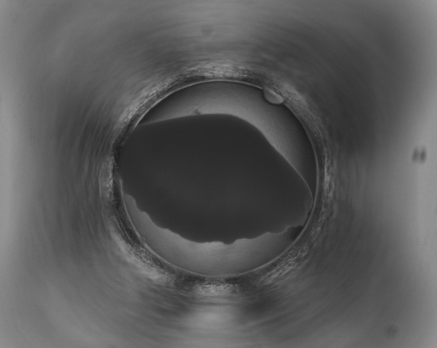 X0000111020202200906191700