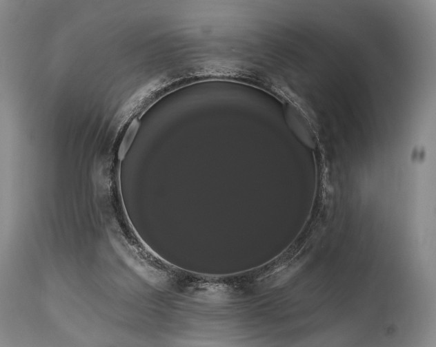 X0000111020203200906191700