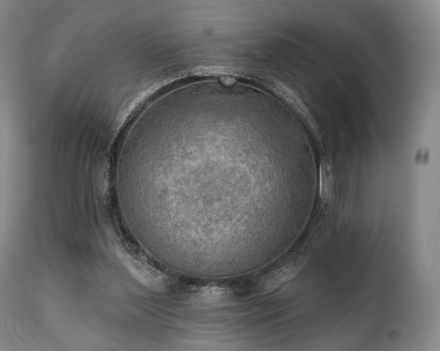 X0000111020204200906191700