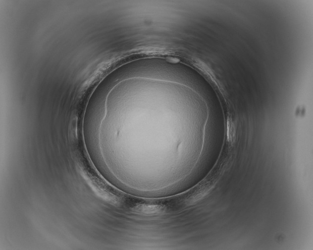 X0000111020205200906191700