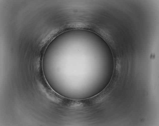 X0000111020206200906191700