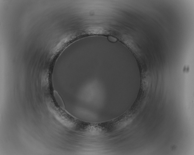 X0000111020207200906191700