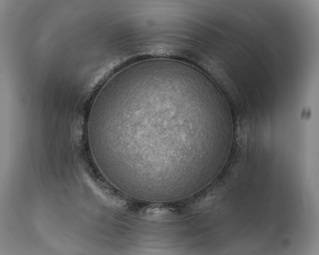 X0000111020208200906191700