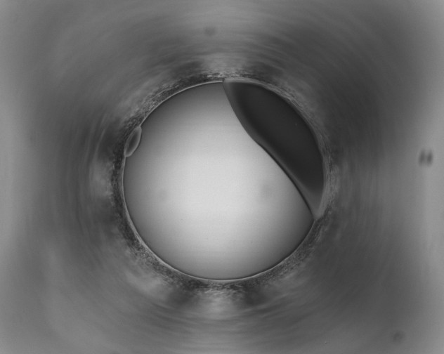 X0000111020209200906191700