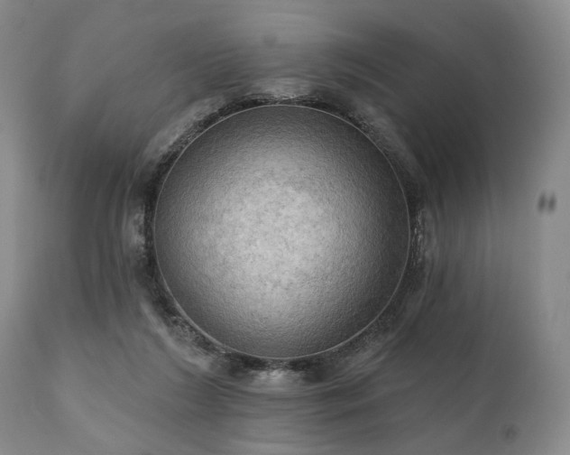 X0000111020212200906191700
