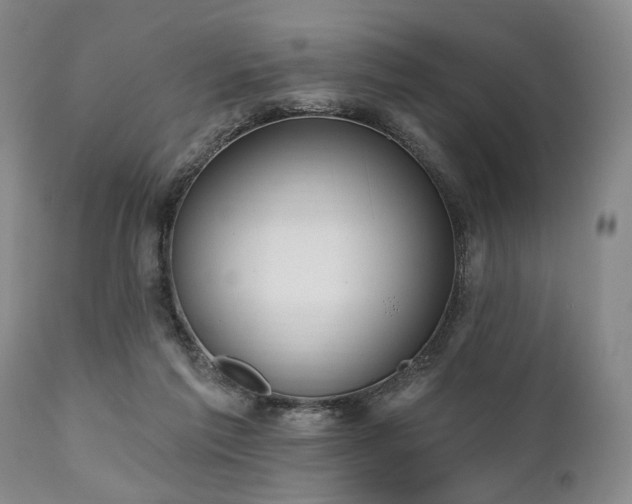 X0000111020213200906191700