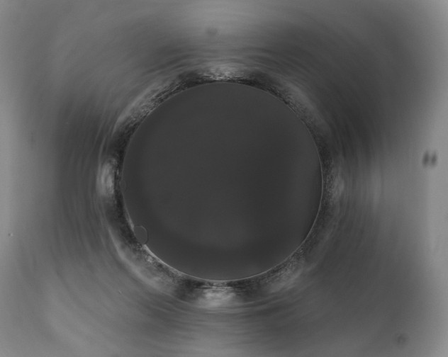 X0000111020214200906191700