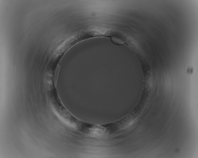 X0000111020215200906191700