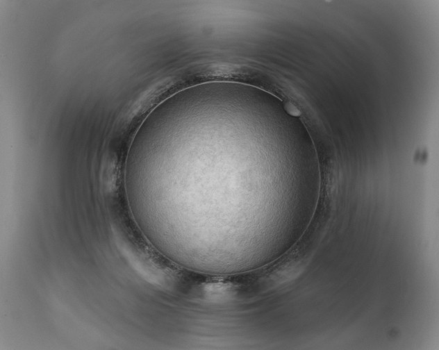 X0000111020216200906191700